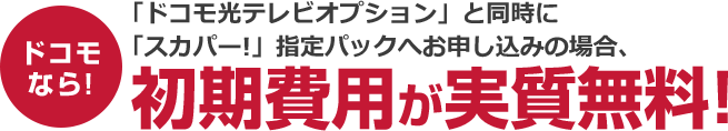 選べるテレビサービス ドコモ光 インターネット光回線